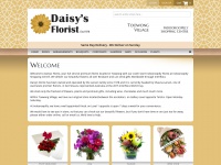 daisys.com.au Thumbnail