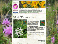 wildflowers-and-weeds.com