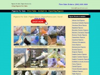 pigeonfarms.com Thumbnail