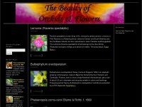 orchids-flowers.com Thumbnail