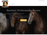Buettnerperformancehorses.com