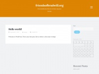 friendsofbradwill.org