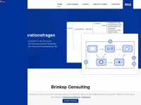 brinkop-consulting.com