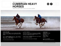 horseridinglakedistrict.co.uk