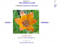 the-genus-lilium.com Thumbnail