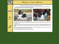 Caninehorizons.com