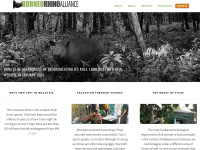 borneorhinoalliance.org