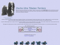 tibetanterriers.de