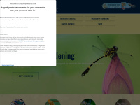 dragonflywebsite.com