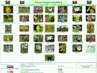 floralimages.org.uk Thumbnail