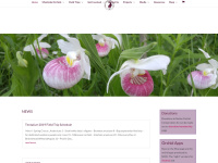 nativeorchid.org