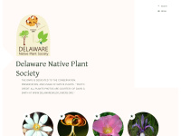 delawarenativeplants.org Thumbnail