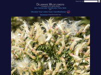 delawarewildflowers.org