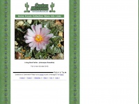 cactusmuseum.com Thumbnail
