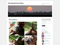 Africanhounds.wordpress.com