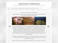 Laparoscopyofadhesiolysis.com