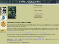 bambooweb.info Thumbnail
