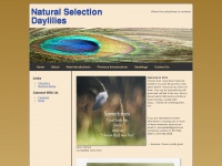 naturalselectiondaylilies.com