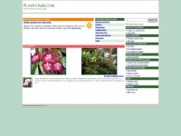 plantoasis.com Thumbnail