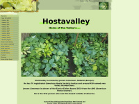 Hostavalley.eu