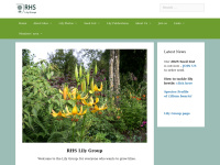 Rhslilygroup.org