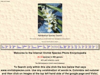 orchidspecies.com Thumbnail