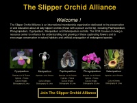 slipperorchid.org Thumbnail