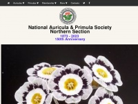 auriculas.org.uk