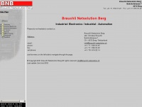 Brauchli-netsolution.ch