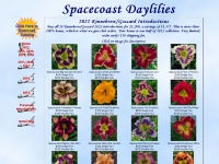 Spacecoastdaylilies.com