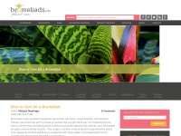 Bromeliads.info