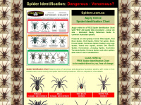 Spiders.com.au