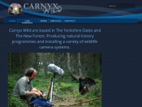 carnyx.tv Thumbnail