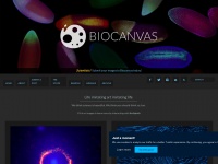 biocanvas.net Thumbnail