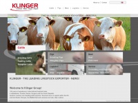 klinger-export.com