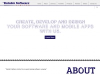 databizsoftware.com