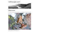 nethscape.com