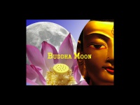 buddhamoon.de Thumbnail