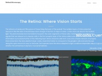 retinalmicroscopy.com Thumbnail