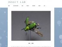 insectlabstudio.com