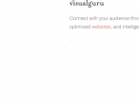 visualguru.com Thumbnail
