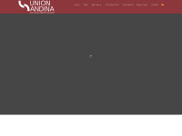 unionandina.com