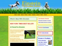 Einsteinminihorse.com