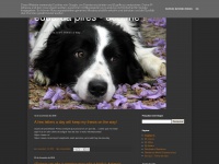 dogsports.blogspot.com