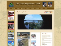 turtleexpedition.com Thumbnail