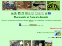Papua-insects.nl