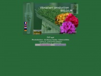 vitroplant.be Thumbnail