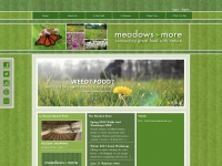 Meadowsandmore.com
