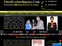 thirdeyeintelligence.com