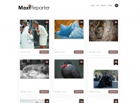 maxireporter.com Thumbnail
